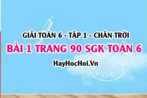 Giải bài 1 trang 90 Toán 6 Tập 1 SGK Chân trời sáng tạo